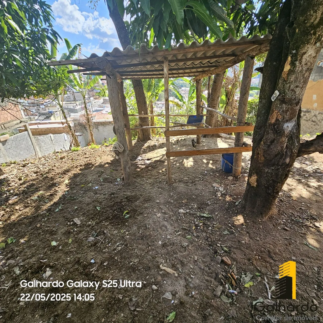 Foto 2 de Dois lotes de 250 m² murados em rua asfaltada, Santa Luzia