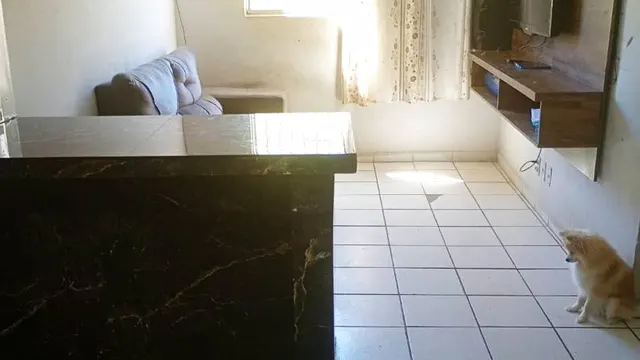 Foto 1 de Apartamento de 2 quartos com vaga na Rua Padre Petrus Dingemouts, Novo Horizonte