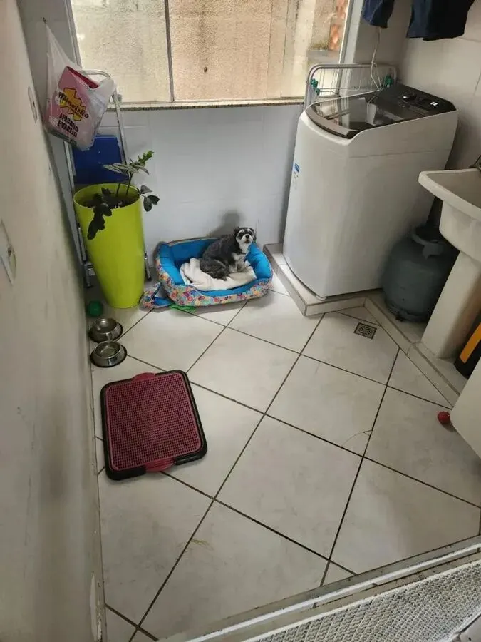 Foto 6 de Apartamento de 2 quartos (1 suíte) com 2 vagas, Nossa Senhora de Fátima