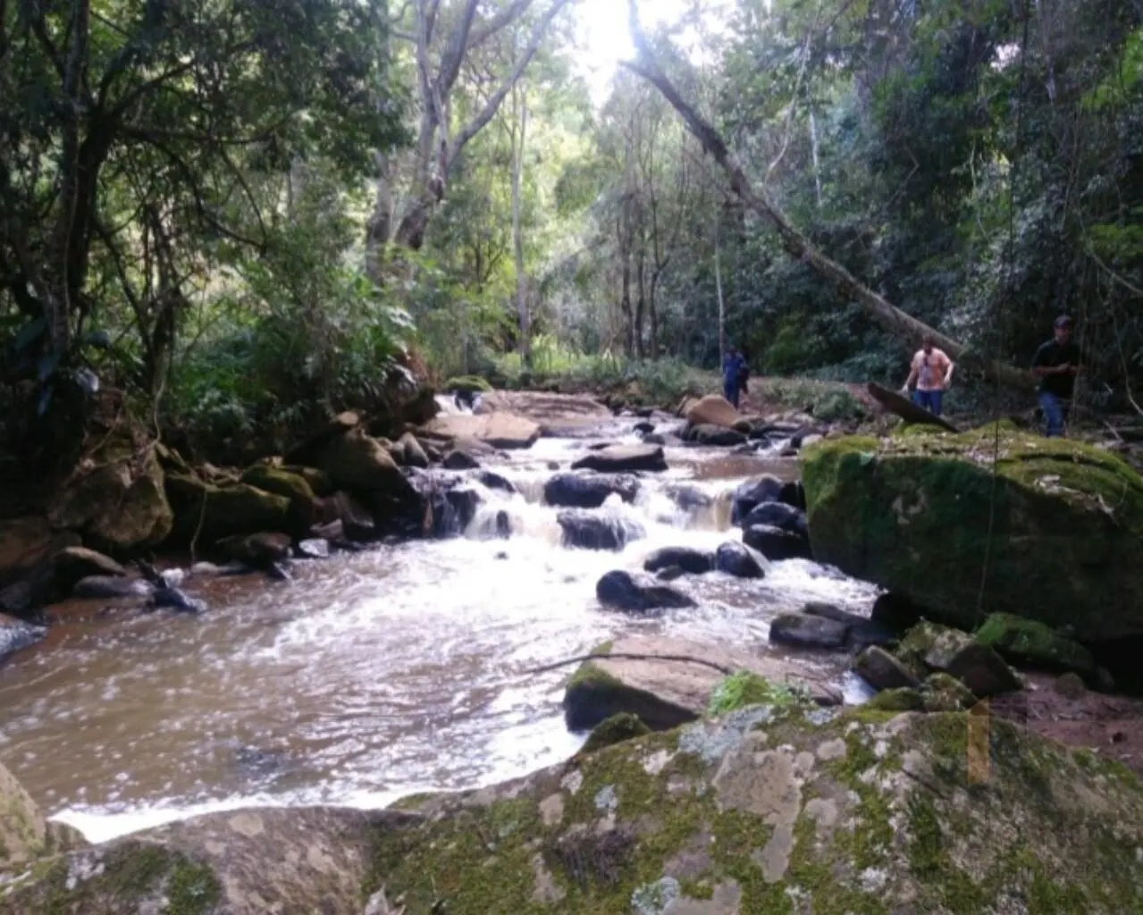 Foto 2 de Área rural de 39.000 m² com rio e platôs prontos, Goiabal