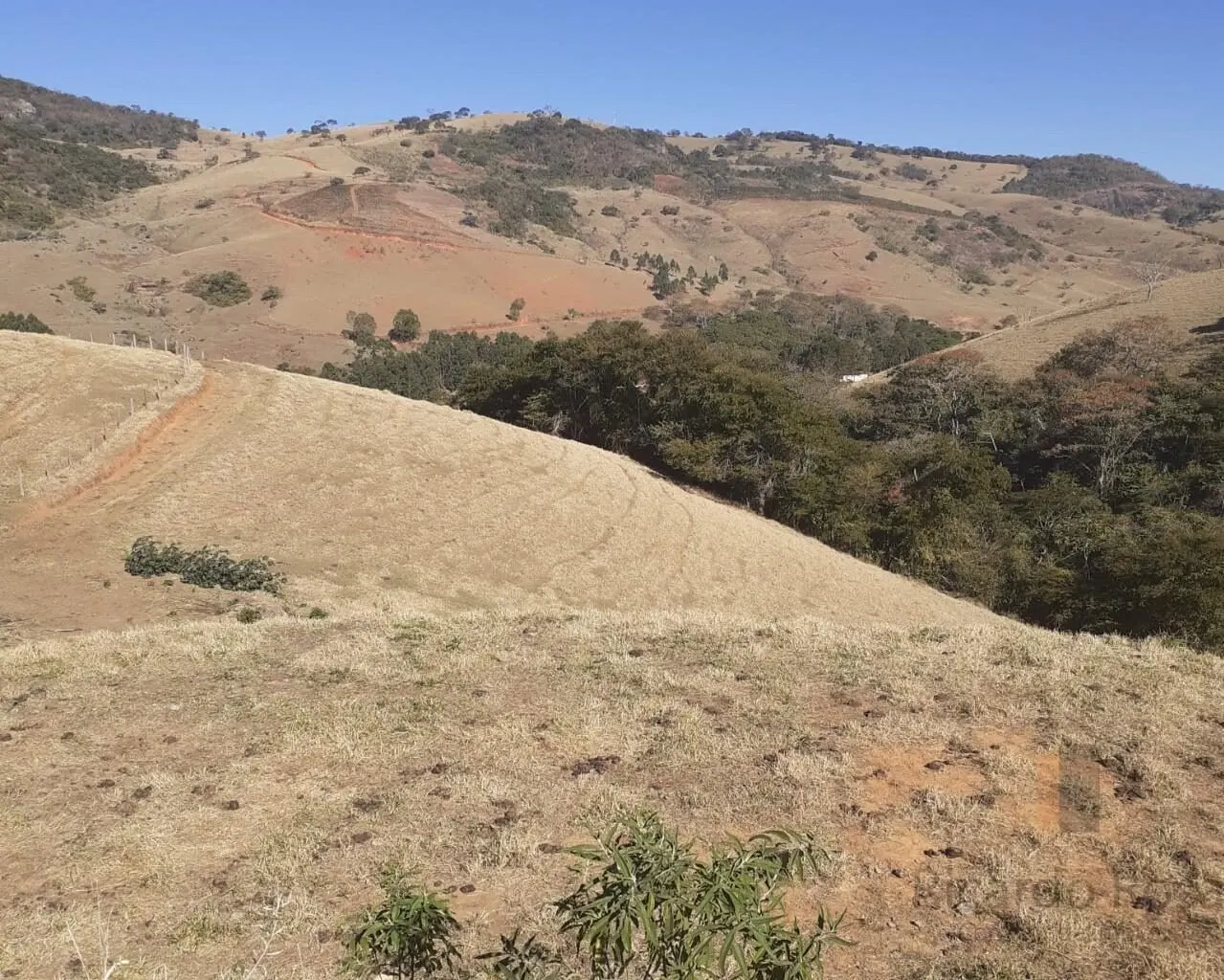 Foto 3 de Área rural de 39.000 m² com rio e platôs prontos, Goiabal