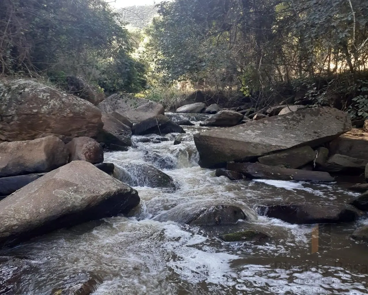 Foto 4 de Área rural de 39.000 m² com rio e platôs prontos, Goiabal