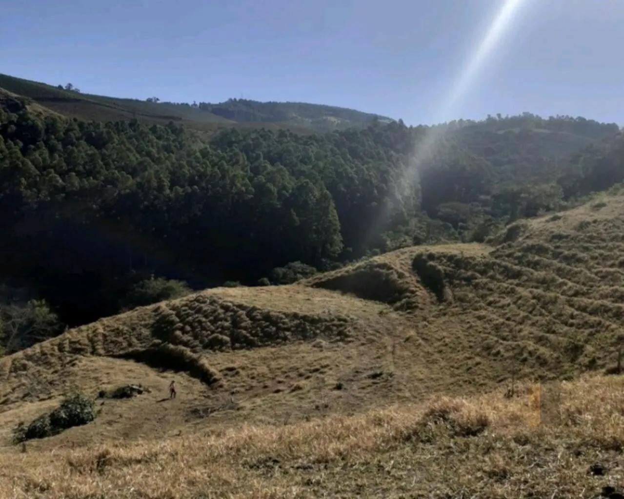 Foto 5 de Área rural de 39.000 m² com rio e platôs prontos, Goiabal