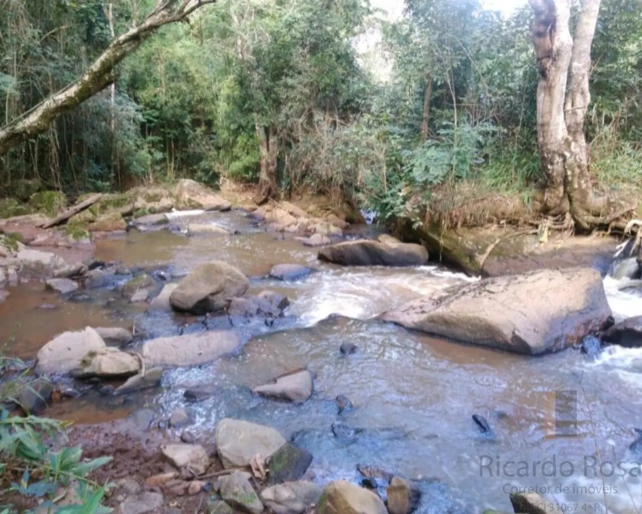 Foto 6 de Área rural de 39.000 m² com rio e platôs prontos, Goiabal