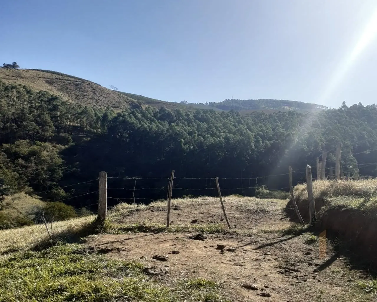 Foto 7 de Área rural de 39.000 m² com rio e platôs prontos, Goiabal