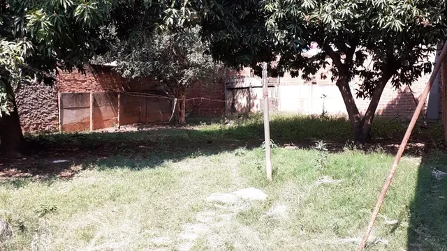 Casa de 2 quartos com quintal grande e área de churrasco, São Vicente