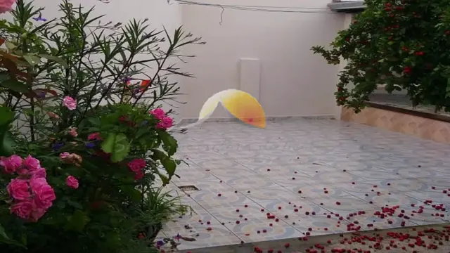 Casa de 2 quartos com edícula e quintal amplo, Boa Vista
