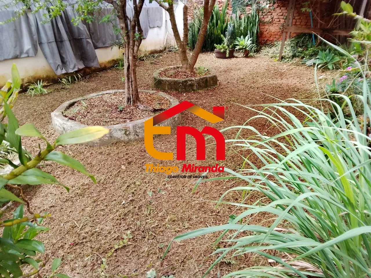 Foto 5 de Casa térrea de 3 quartos (1 suíte) com quintal e terraço, Estiva