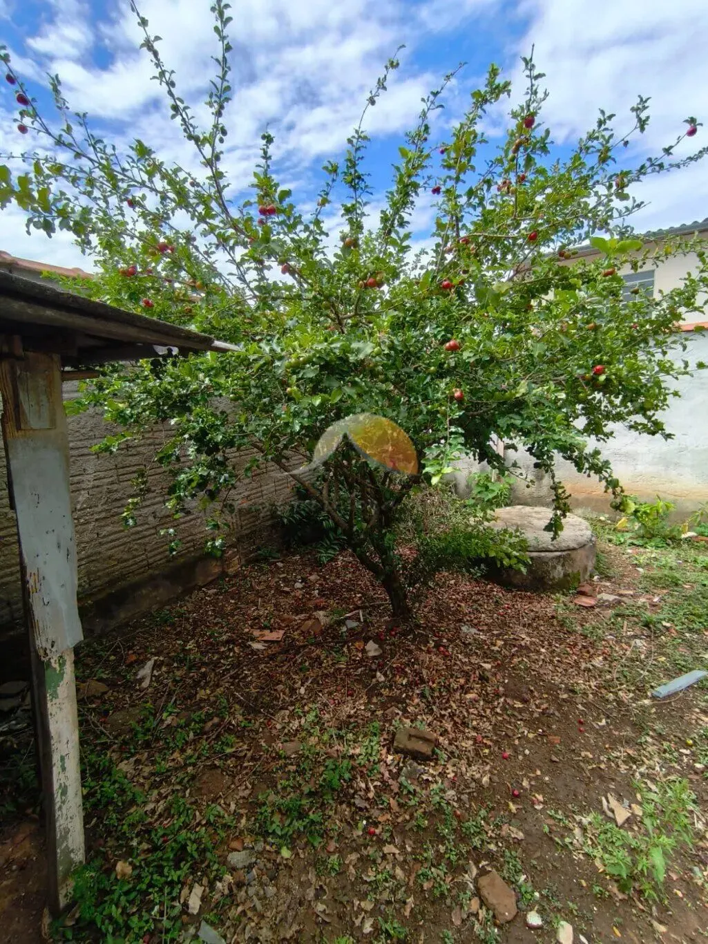 Foto 8 de Casa de 4 quartos (1 suíte) com edícula e quintal amplo, Santo Antônio