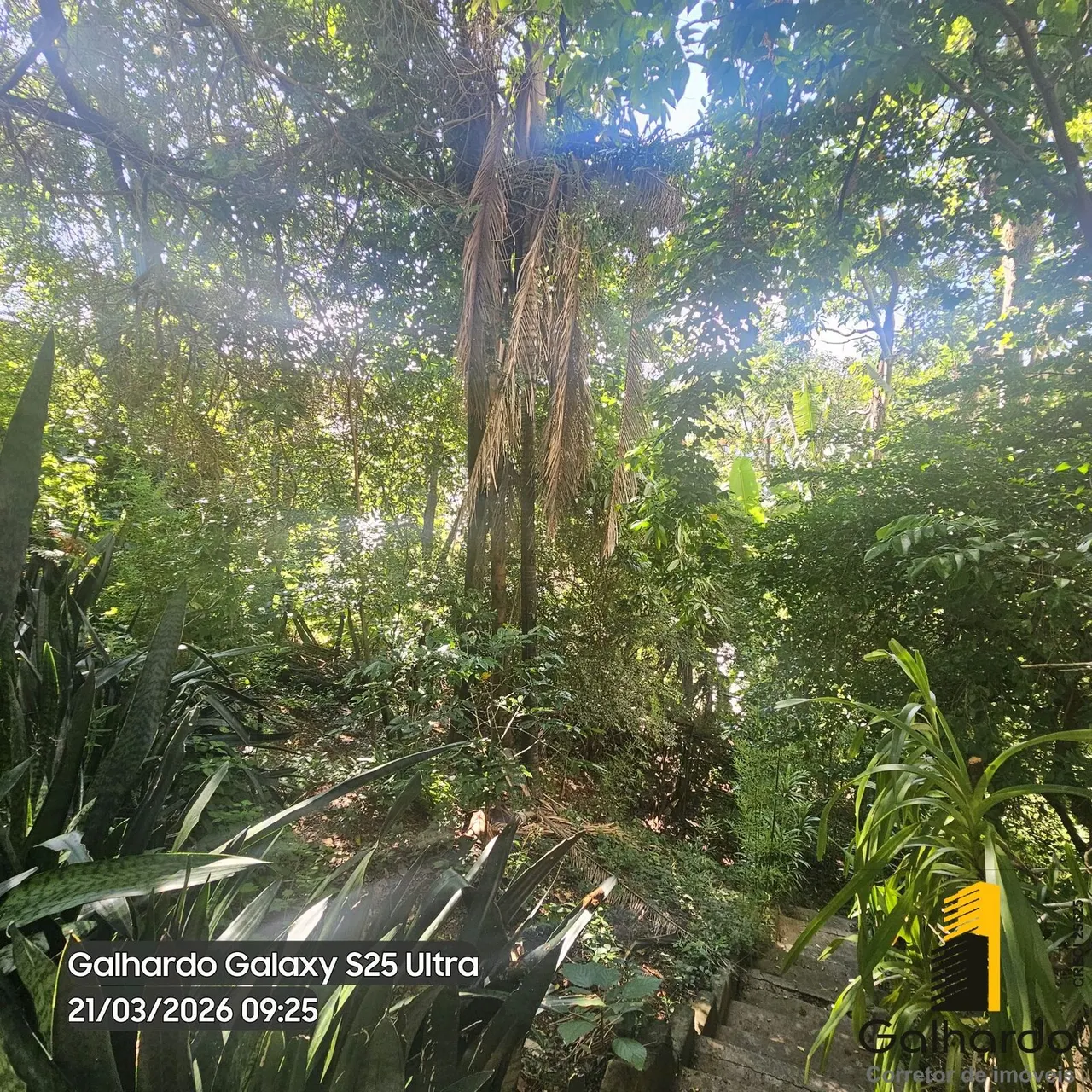Foto 3 de Casa de 6 quartos com escritório e área verde de 1.480 m², Centro
