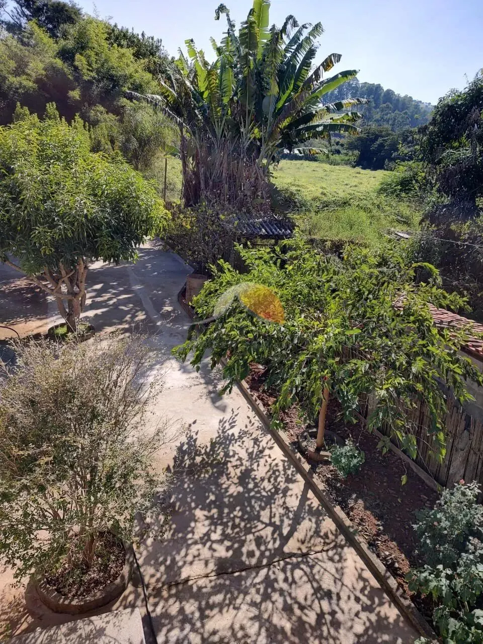Foto 5 de Chácara com casa de 2 quartos, churrasqueira e árvores frutíferas, Açude