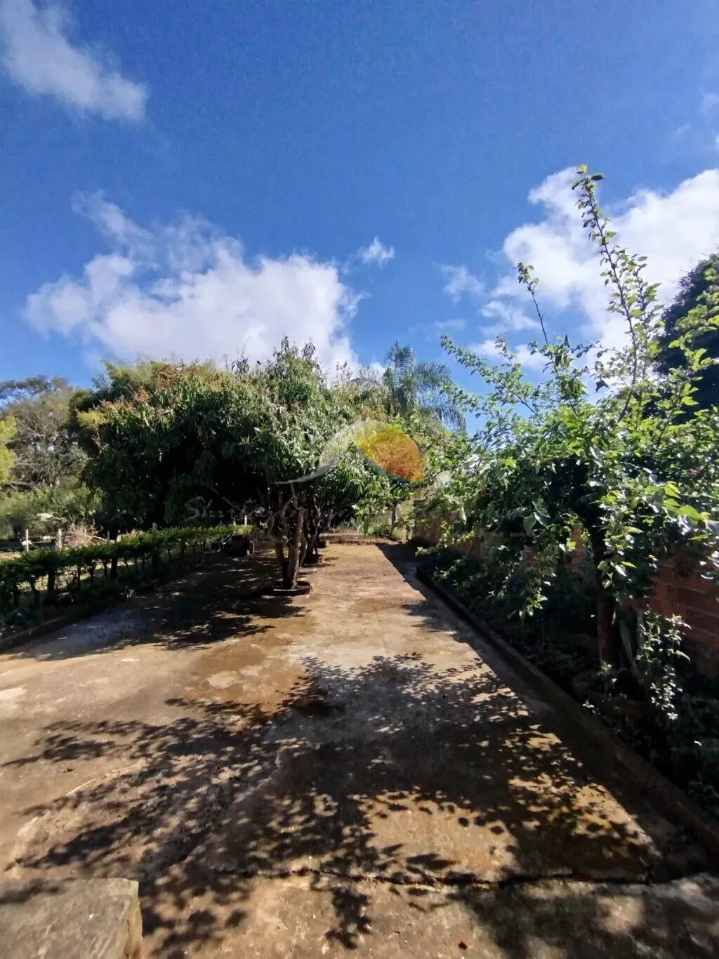 Foto 8 de Chácara com casa de 2 quartos, churrasqueira e árvores frutíferas, Açude