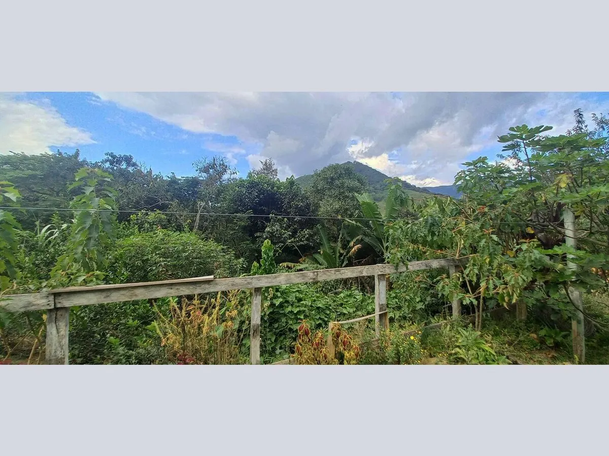 Foto 7 de Chácara com casa de 2 quartos, pomar e área de churrasco, Água Limpa