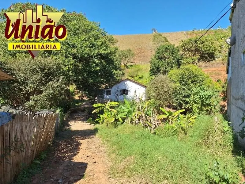 Foto 3 de Chácara com casa de 3 quartos, pomar e nascente, Juru