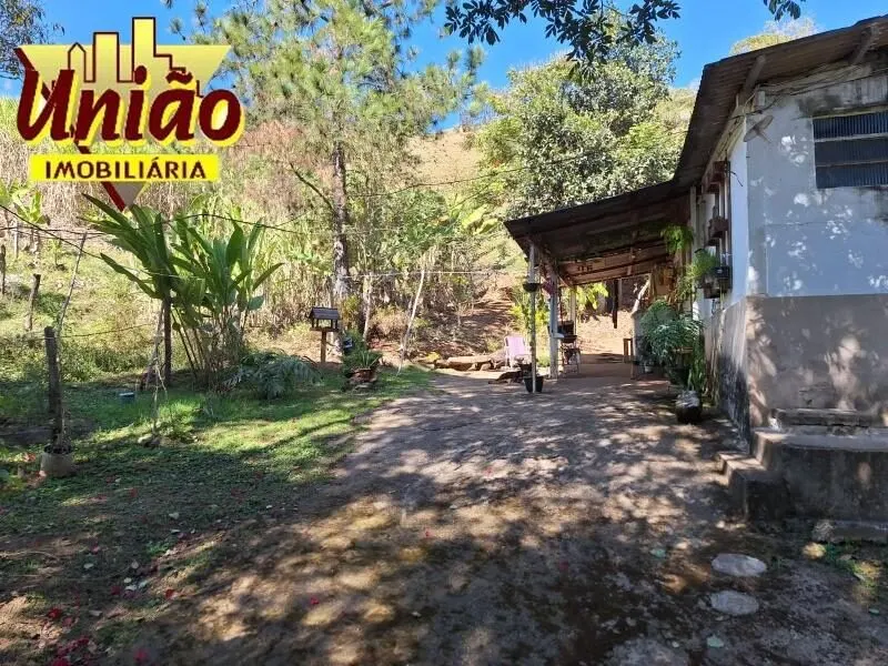Foto 4 de Chácara com casa de 3 quartos, pomar e nascente, Juru