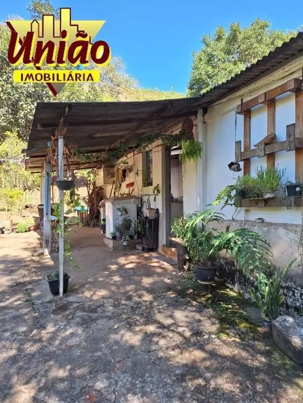 Foto 5 de Chácara com casa de 3 quartos, pomar e nascente, Juru