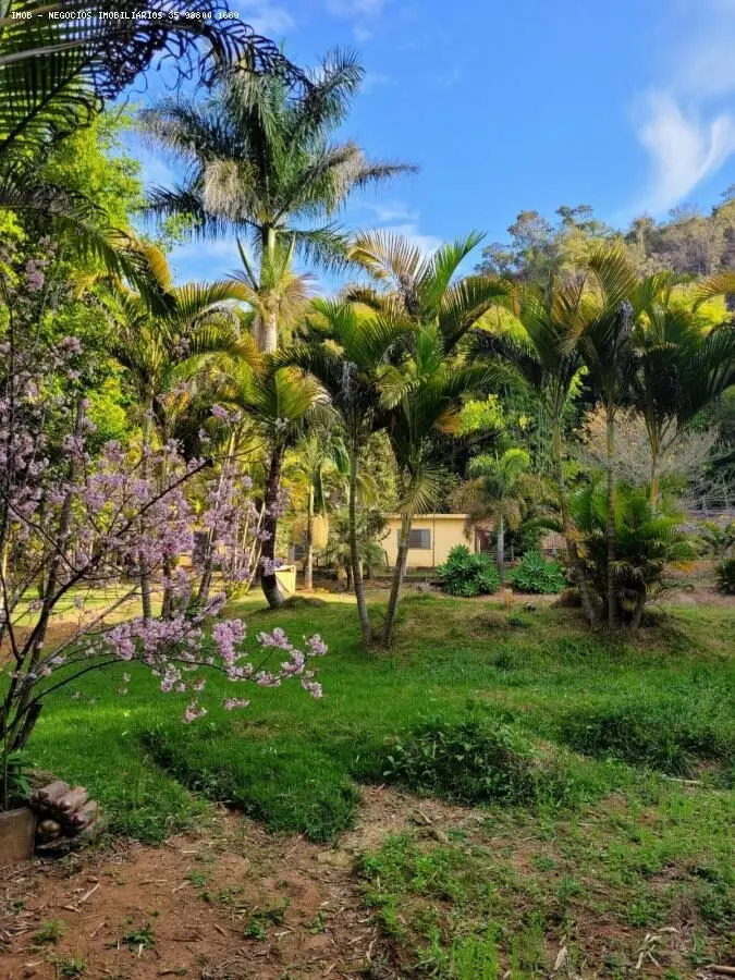 Foto 4 de Chácara de 10.000 m² com casa, edícula e tanque de tilápias, Retiro