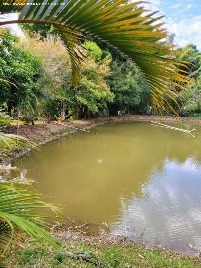 Foto 5 de Chácara de 10.000 m² com casa, edícula e tanque de tilápias, Retiro