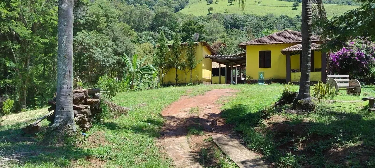 Foto 5 de Chácara de 12.000 m² com casa de 2 quartos, lago, pomar e cafezal, Berta