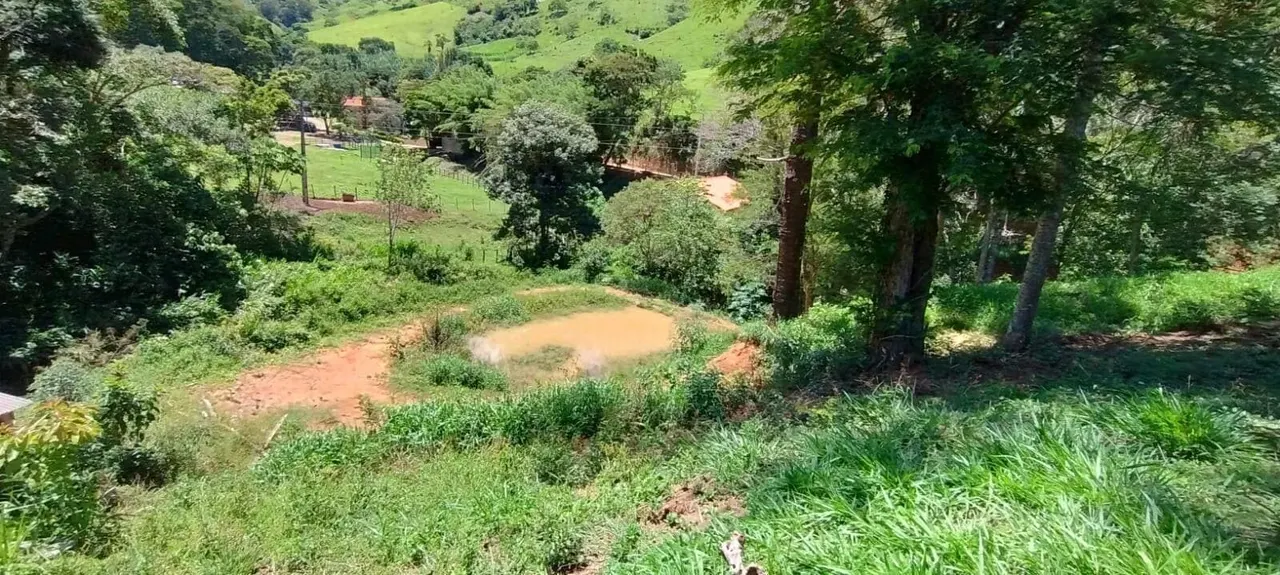 Foto 6 de Chácara de 12.000 m² com casa de 2 quartos, lago, pomar e cafezal, Berta