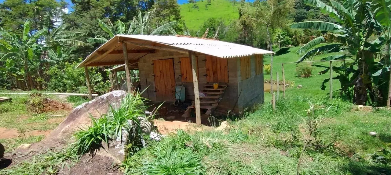 Foto 8 de Chácara de 12.000 m² com casa de 2 quartos, lago, pomar e cafezal, Berta