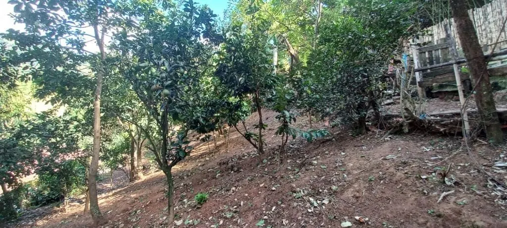 Foto 5 de Chácara de 2.000 m² com casa de 2 quartos, edícula e pomar, Cantagalo
