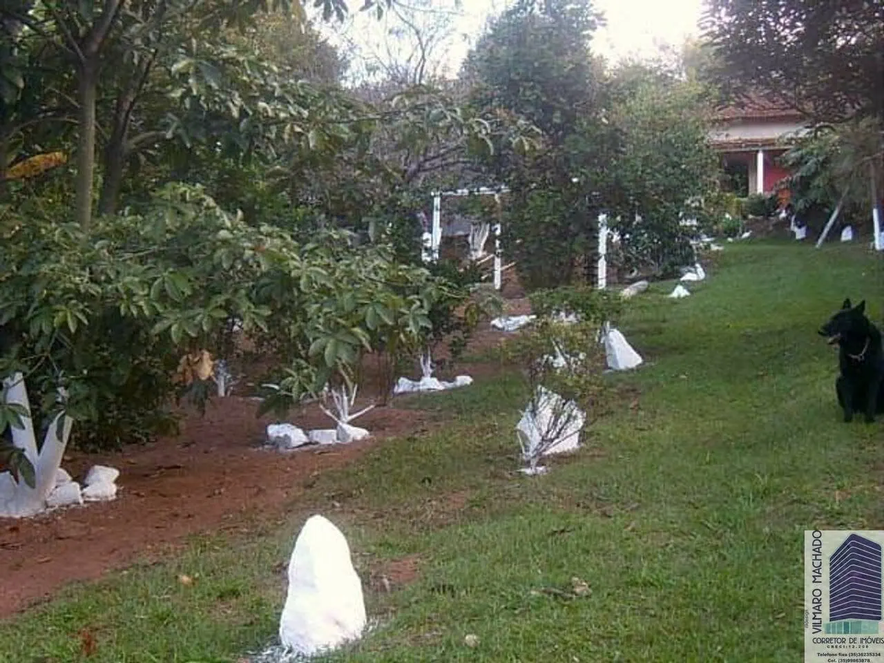 Foto 7 de Chácara de 2.250 m² com casa de 5 quartos, área gourmet e pomar, Nações