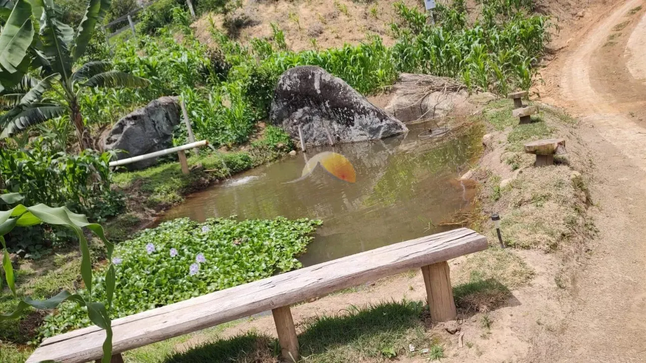 Foto 3 de Chácara de 4.000 m² com casa de 3 quartos, tanques de peixe e pomar, Água Limpa