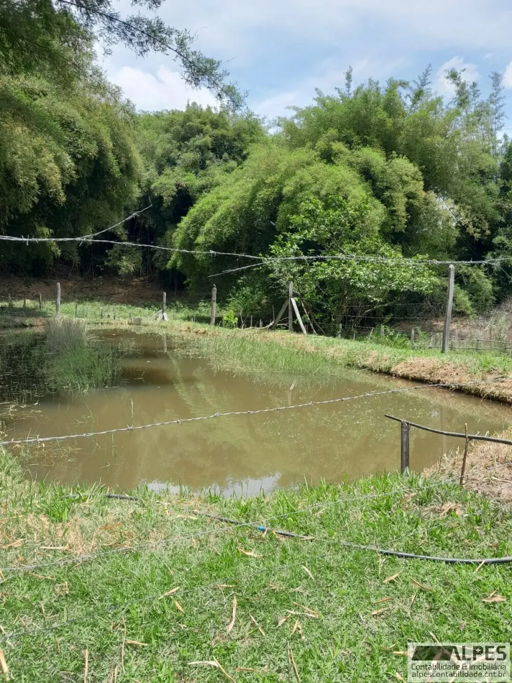 Foto 3 de Chácara de 6.124 m² com casa, lago com peixes e pomar, Piedade