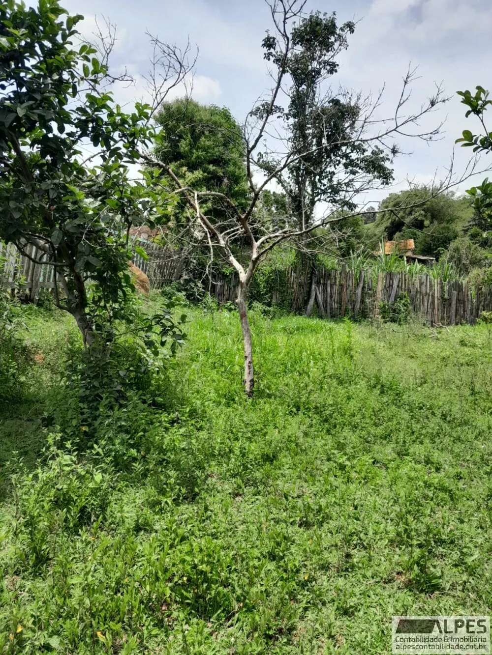 Foto 6 de Chácara de 6.124 m² com casa, lago com peixes e pomar, Piedade
