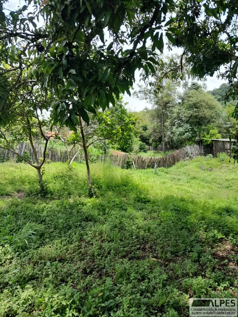 Foto 7 de Chácara de 6.124 m² com casa, lago com peixes e pomar, Piedade