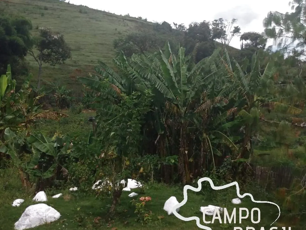 Foto 8 de Chácara escriturada de 6.380 m² com casa sede, lagos e nascente, Área Rural de Itajubá