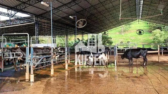 Fazenda de 85 hectares em Itajubá