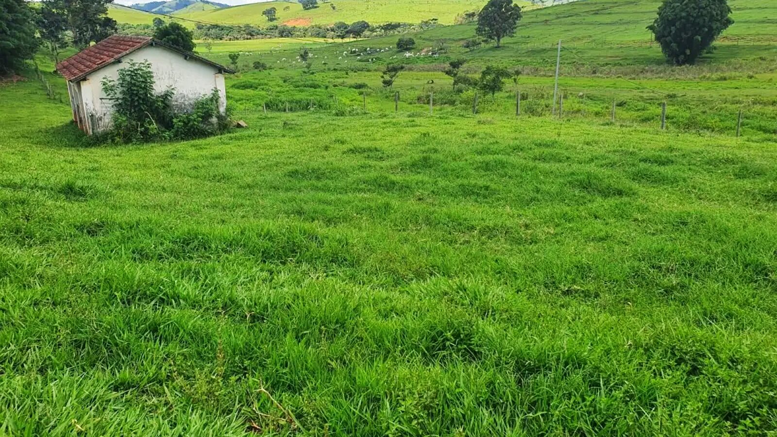 Fazenda com pastagens e acesso rural