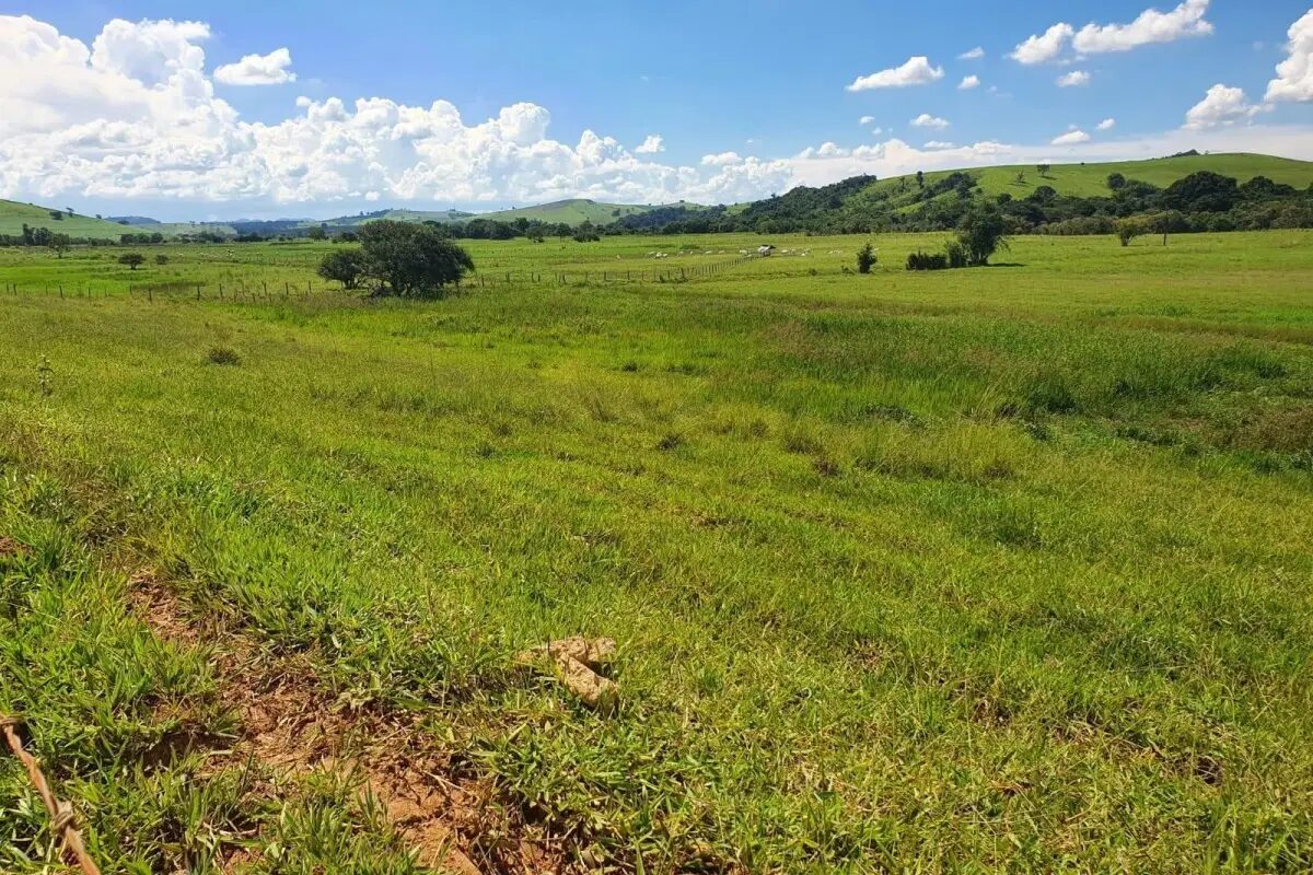 Foto 2 de Fazenda com pastagens e acesso rural