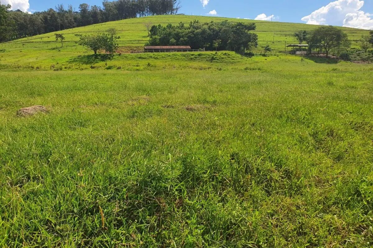 Foto 5 de Fazenda com pastagens e acesso rural