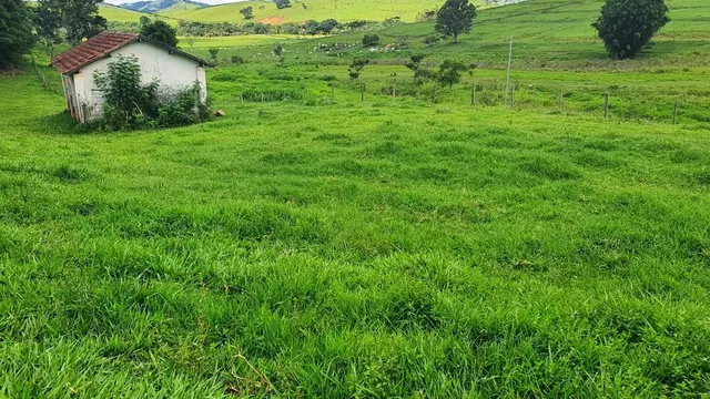 Fazenda de 233 hectares com pastagem e curral, Área Rural de Itajubá
