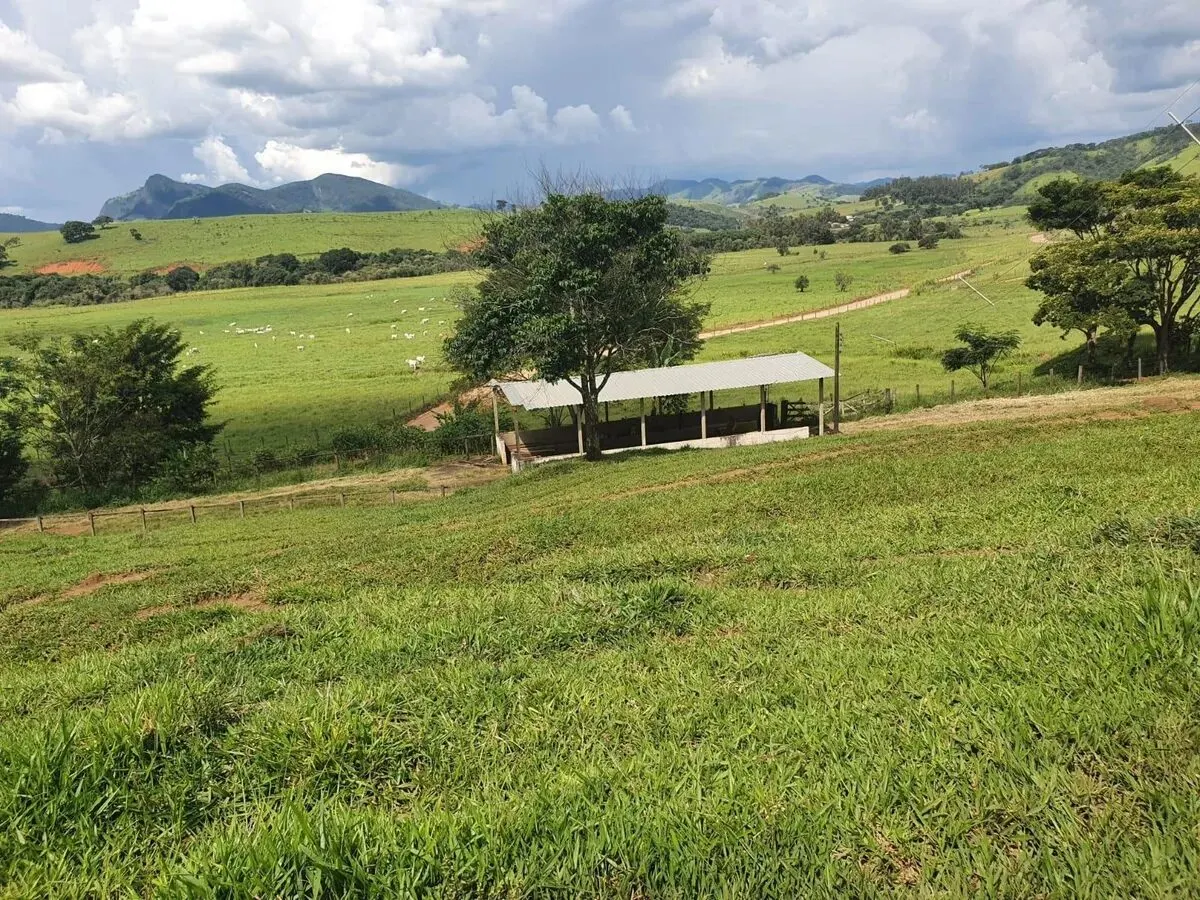 Foto 2 de Fazenda de 233 hectares com pastagem e curral, Área Rural de Itajubá