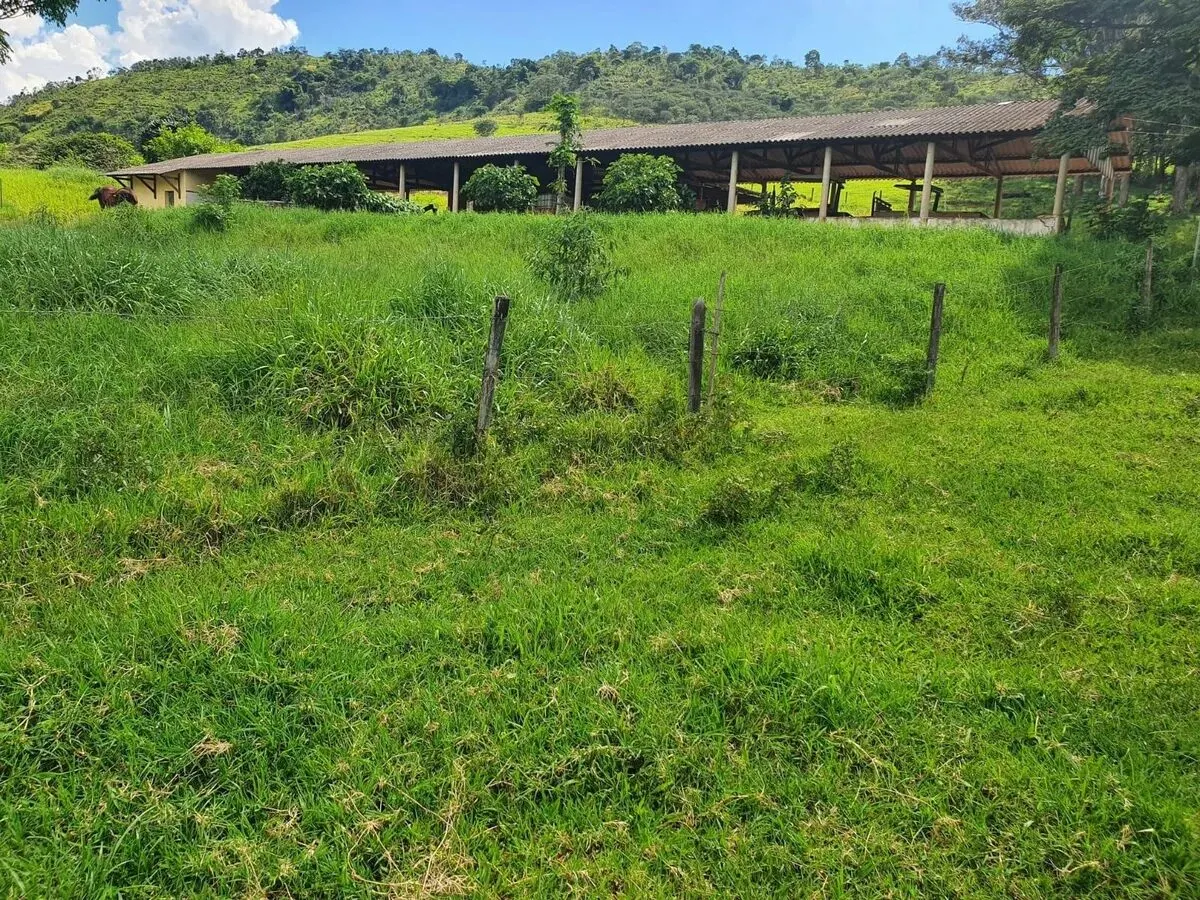 Foto 3 de Fazenda de 233 hectares com pastagem e curral, Área Rural de Itajubá