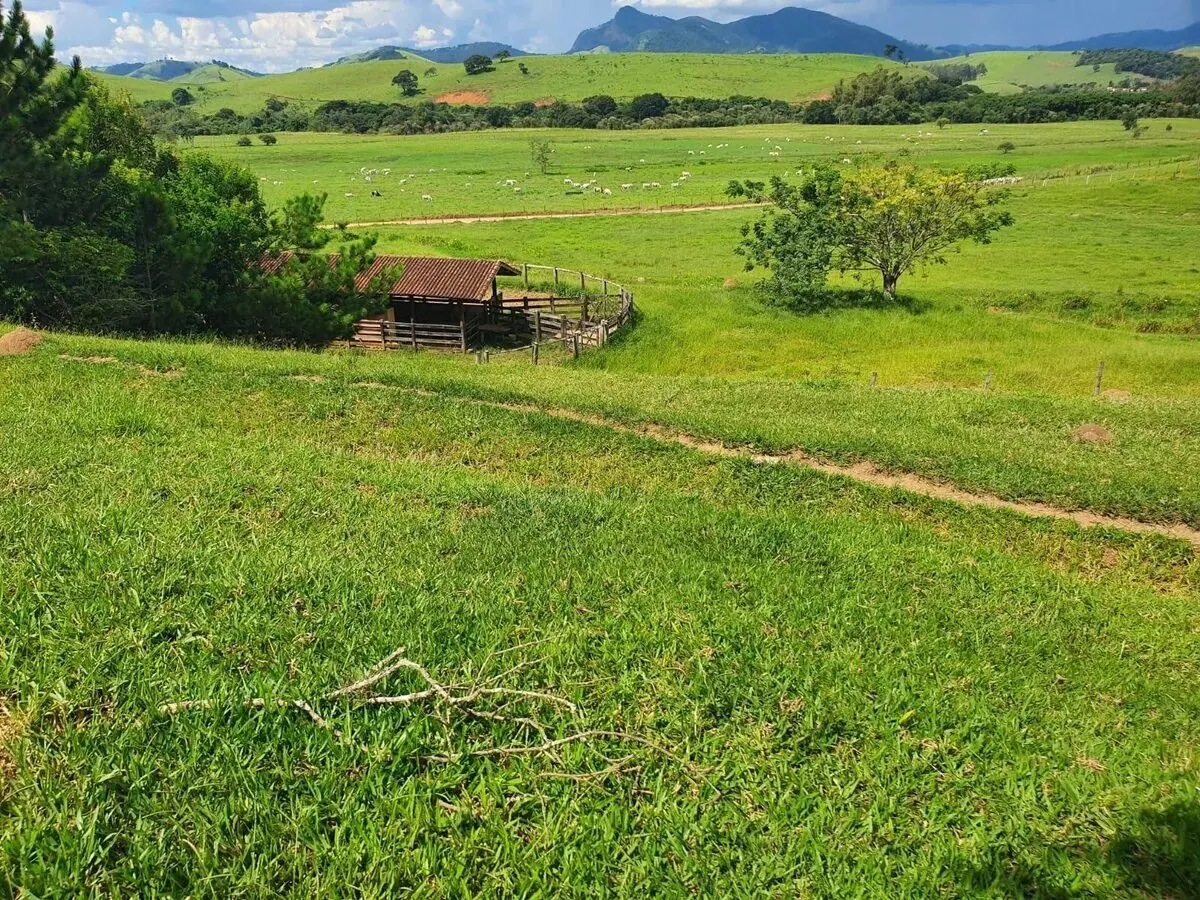 Foto 5 de Fazenda de 233 hectares com pastagem e curral, Área Rural de Itajubá