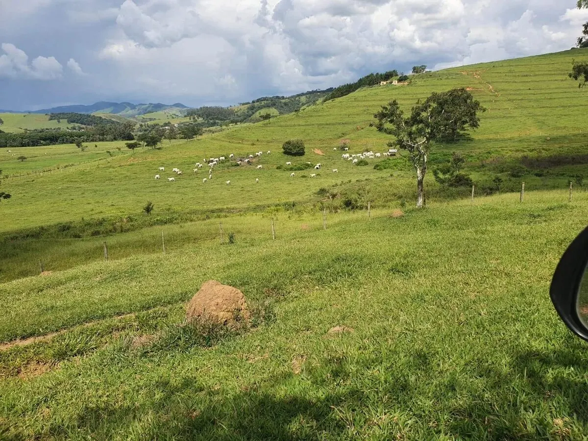 Foto 6 de Fazenda de 233 hectares com pastagem e curral, Área Rural de Itajubá