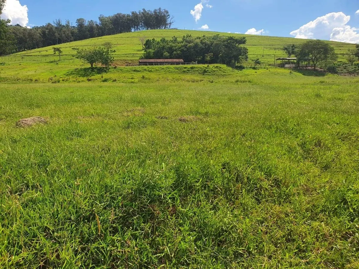 Foto 7 de Fazenda de 233 hectares com pastagem e curral, Área Rural de Itajubá