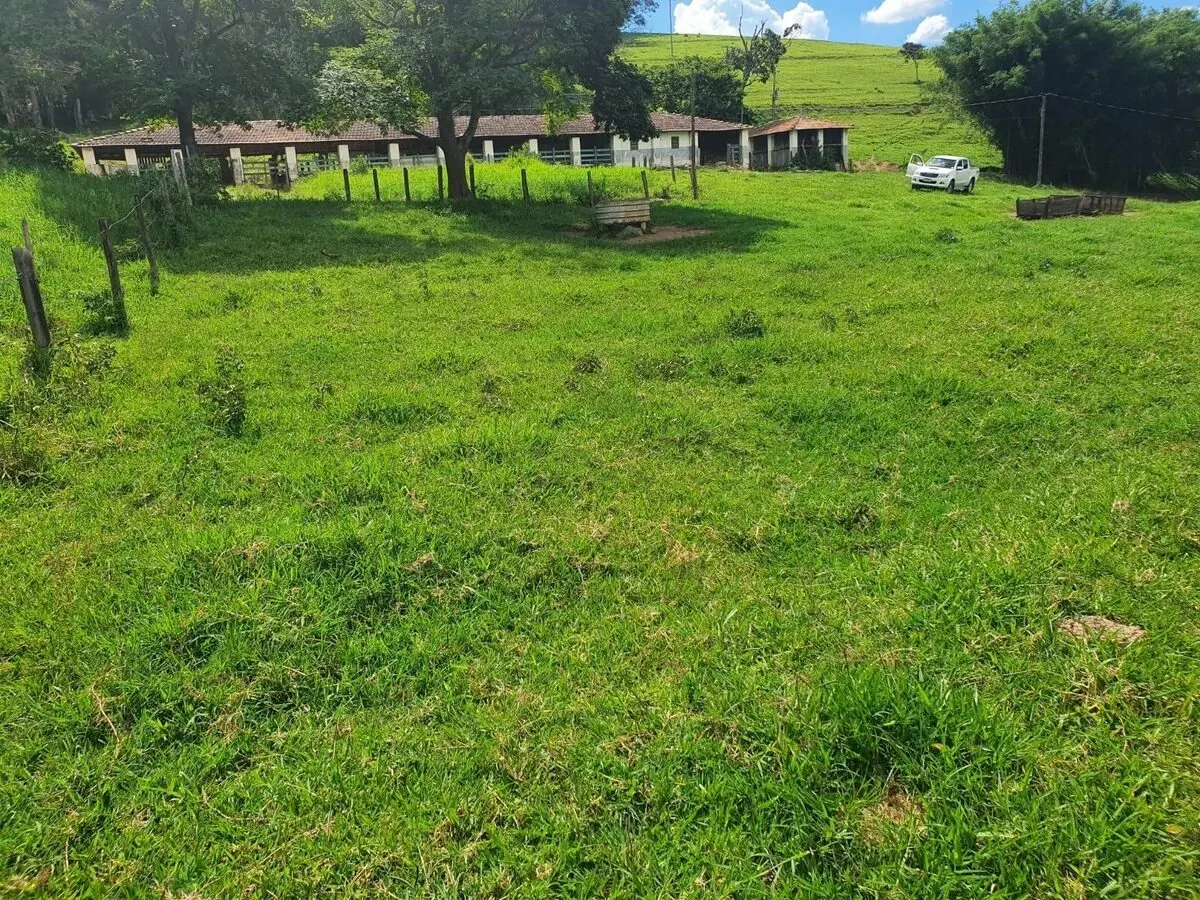 Foto 8 de Fazenda de 233 hectares com pastagem e curral, Área Rural de Itajubá