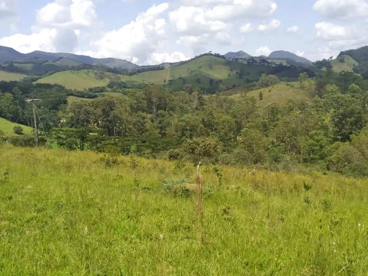 Foto 2 de Fazenda de 395 hectares com casa sede, 3 casas de caseiro e estrutura para gado, Área Rural de Itajubá