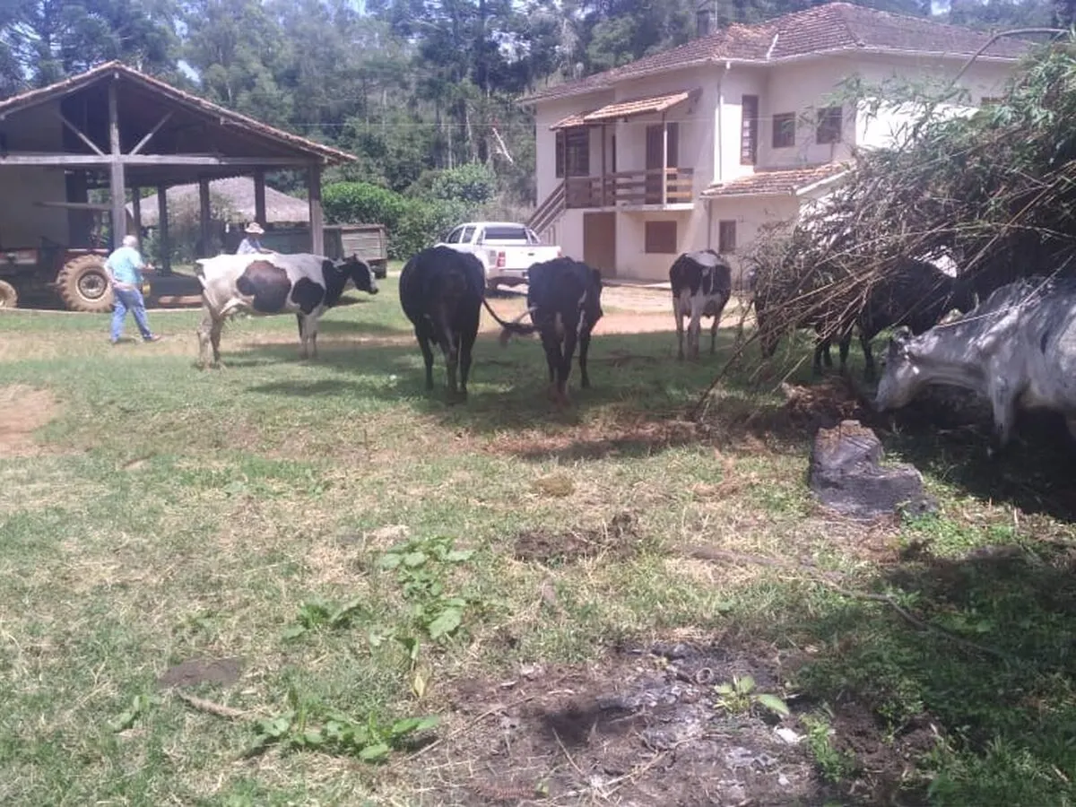 Foto 3 de Fazenda de 395 hectares com casa sede, 3 casas de caseiro e estrutura para gado, Área Rural de Itajubá