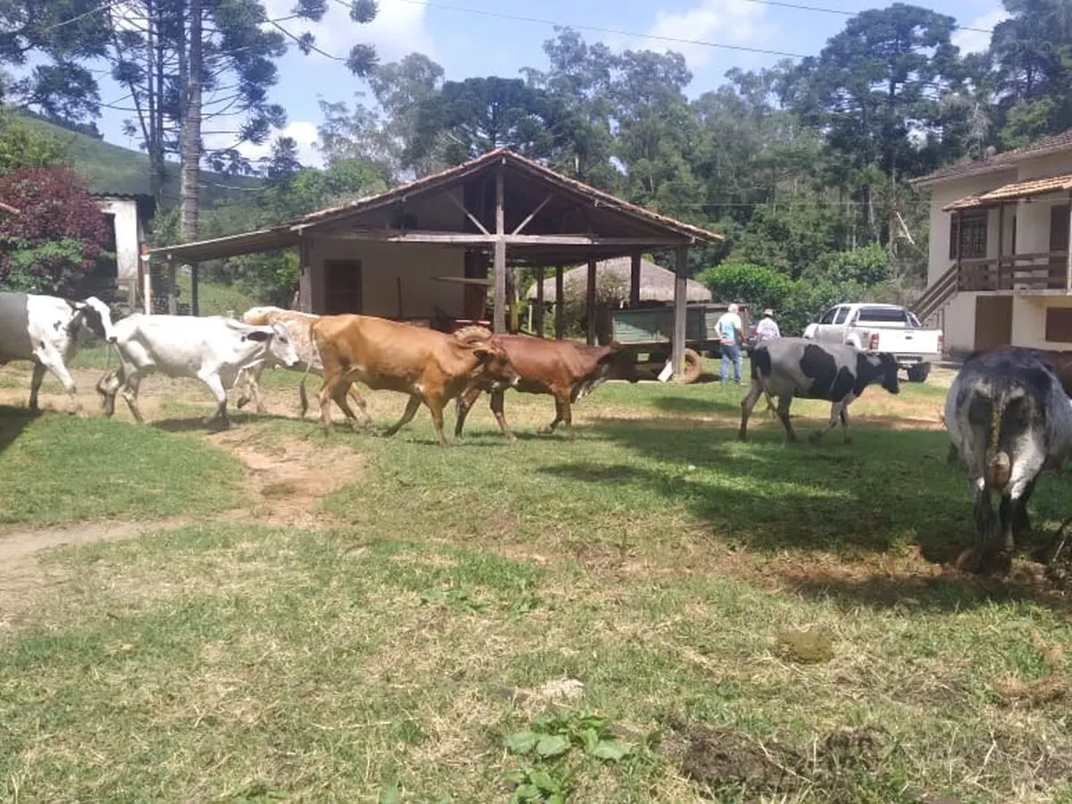 Foto 4 de Fazenda de 395 hectares com casa sede, 3 casas de caseiro e estrutura para gado, Área Rural de Itajubá