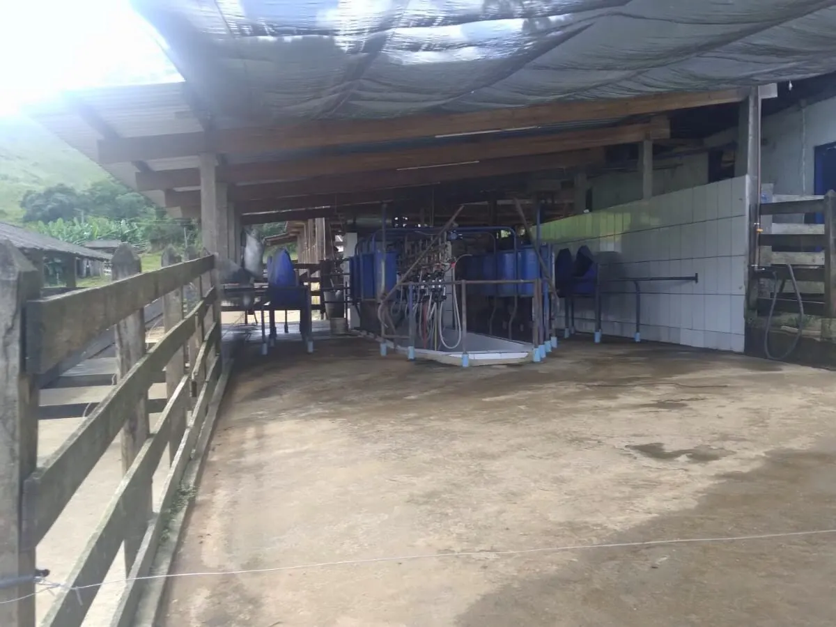 Foto 6 de Fazenda de 395 hectares com casa sede, 3 casas de caseiro e estrutura para gado, Área Rural de Itajubá