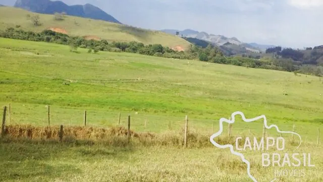 Foto 1 de Fazenda de 98 alqueires com pasto formado, curral e nascente, Área Rural de Itajubá
