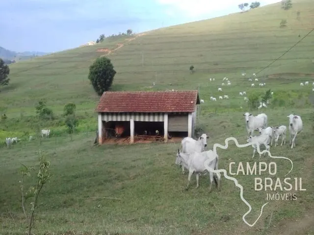 Foto 3 de Fazenda de 98 alqueires com pasto formado, curral e nascente, Área Rural de Itajubá