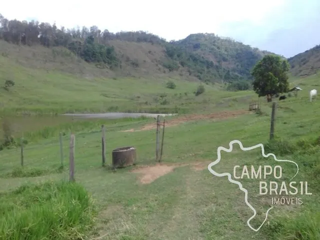 Foto 4 de Fazenda de 98 alqueires com pasto formado, curral e nascente, Área Rural de Itajubá